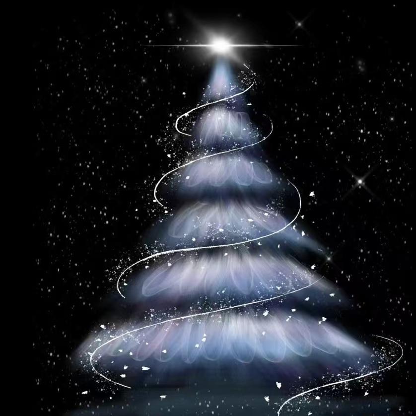 舒伯特玫瑰《圣诞特辑》