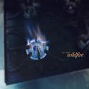 Wildfire (feat. Jesse Barrera & Patrick Hizon)