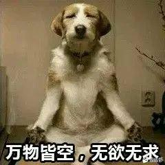 节奏感强的批爆，中文说唱