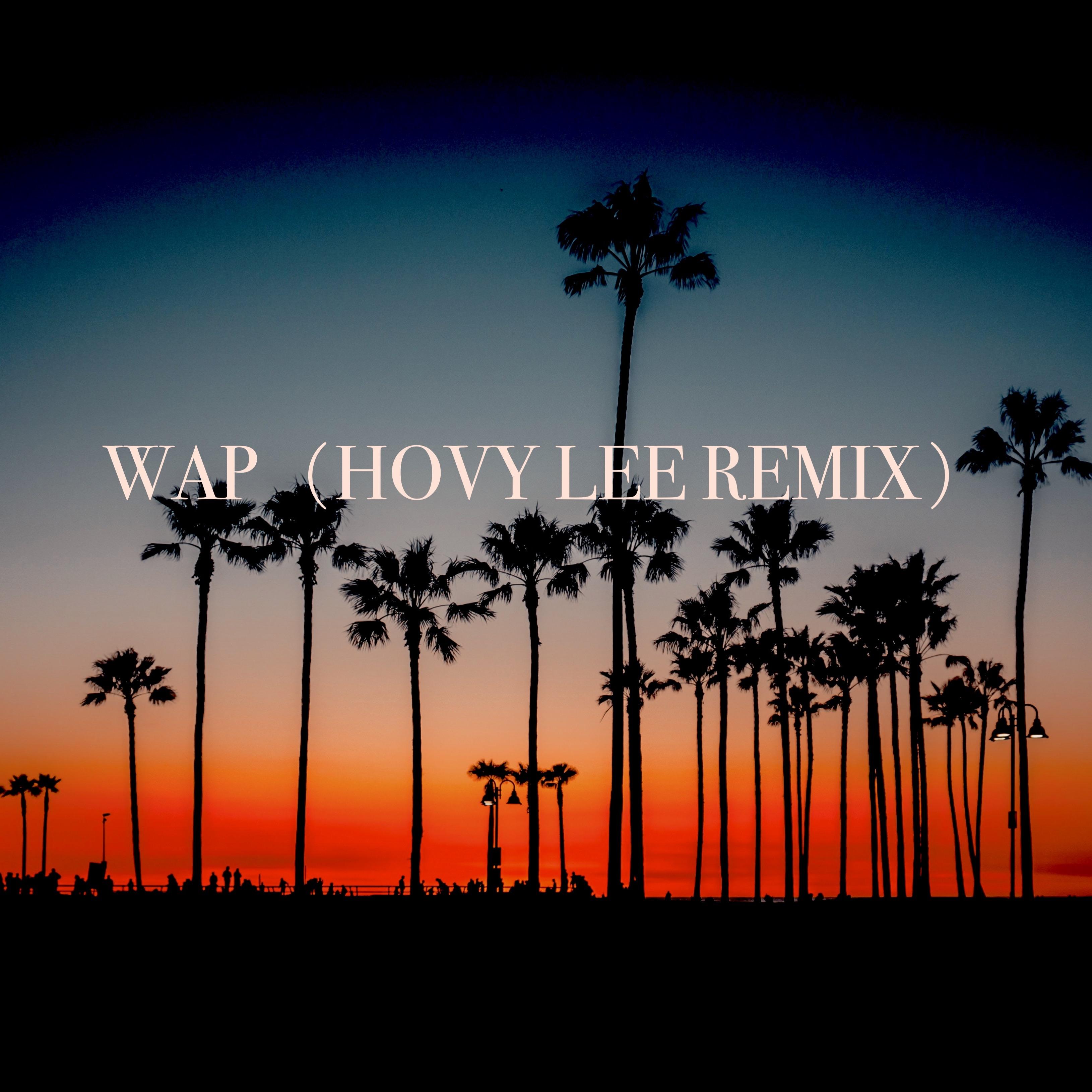 WAP(Hovy Lee Remix)