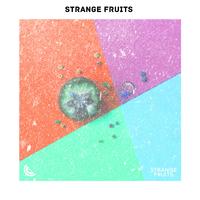 Pop Argentino 2019 :Mejores Canciones de Pop Argentino Por Strange Fruits