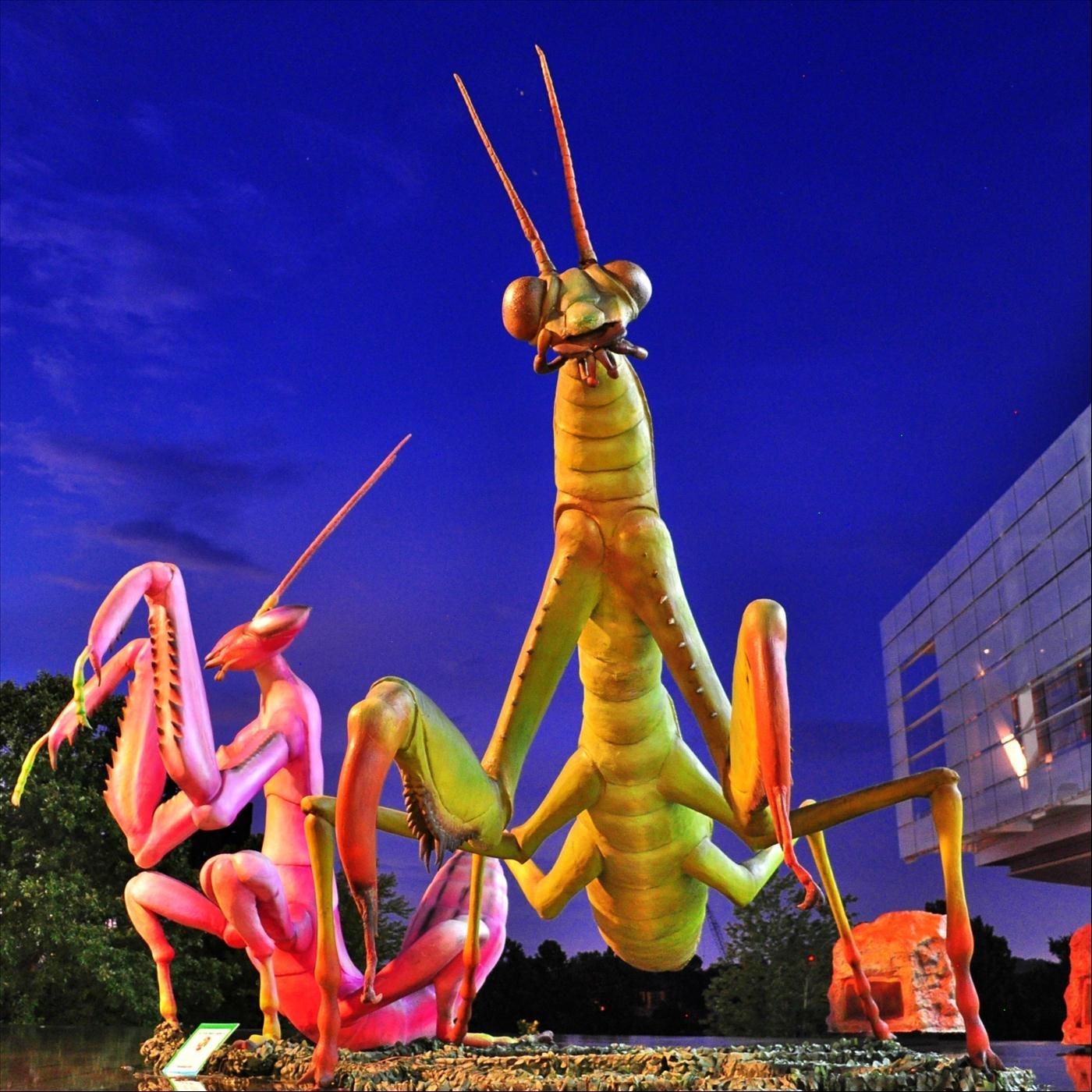 Nature's Creatures