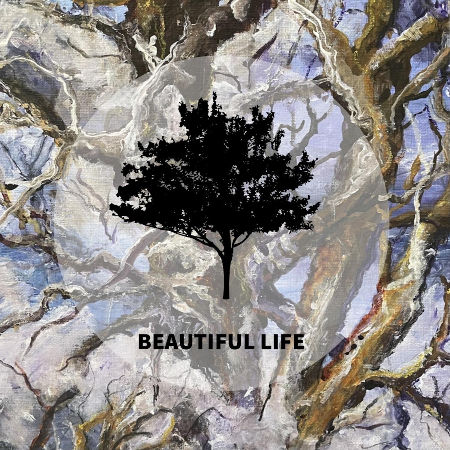Beautiful Life (feat. Nate Mendel & Jeremy Enigk)