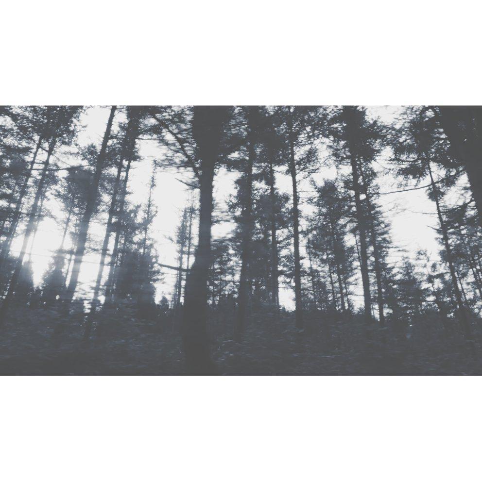 Hidden Path