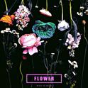 Flower专辑