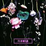 Flower专辑