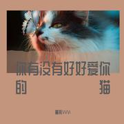 你有没有好好爱你的猫 Prod.by 邓森