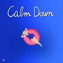 Calm Down专辑