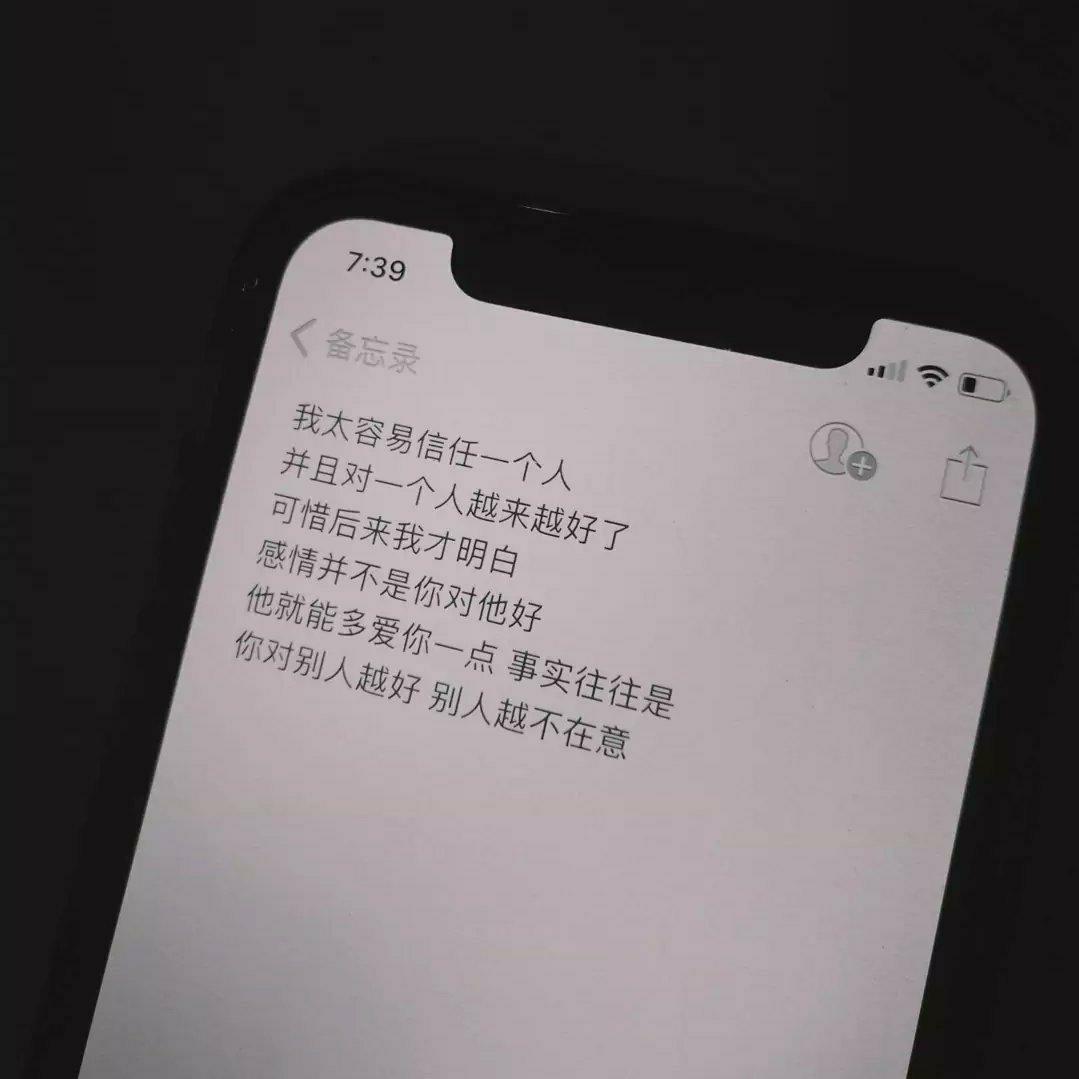 我还是会想你 尽管这一切毫无意义