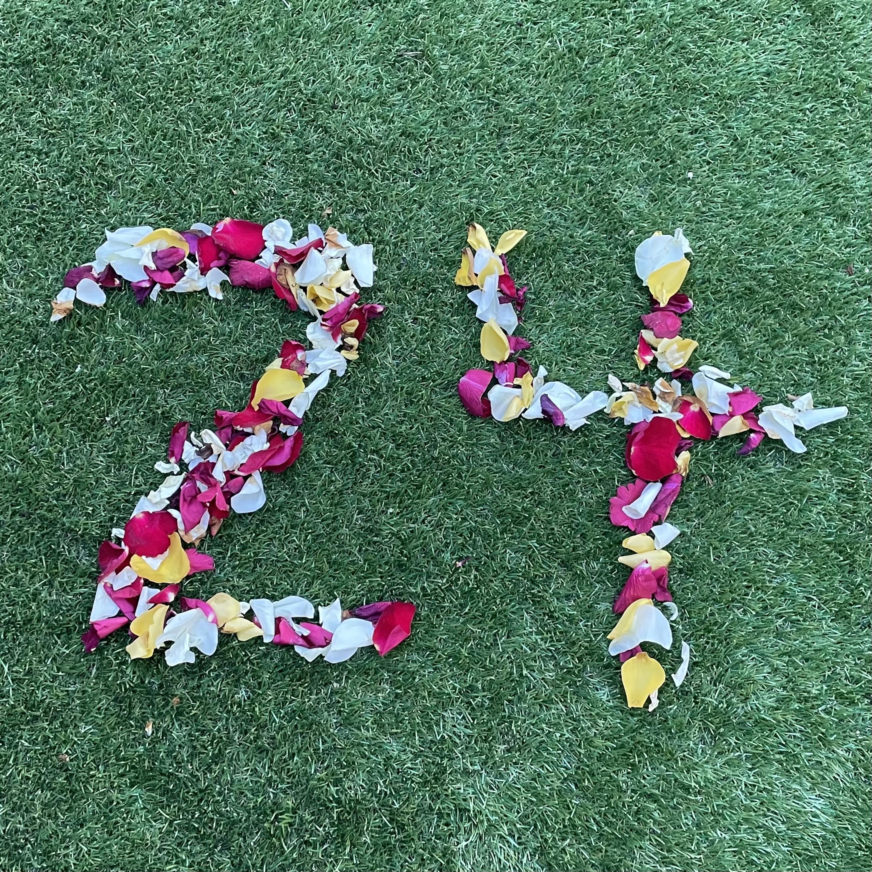 24