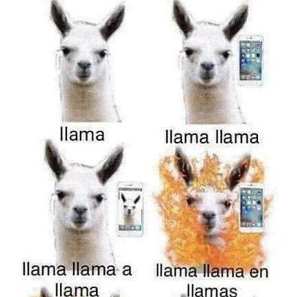 西班牙语班必备