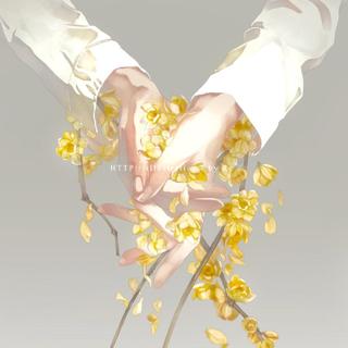 「日语｜纯钢琴」这份温柔只想传达给你