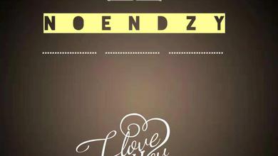 NOENDzy