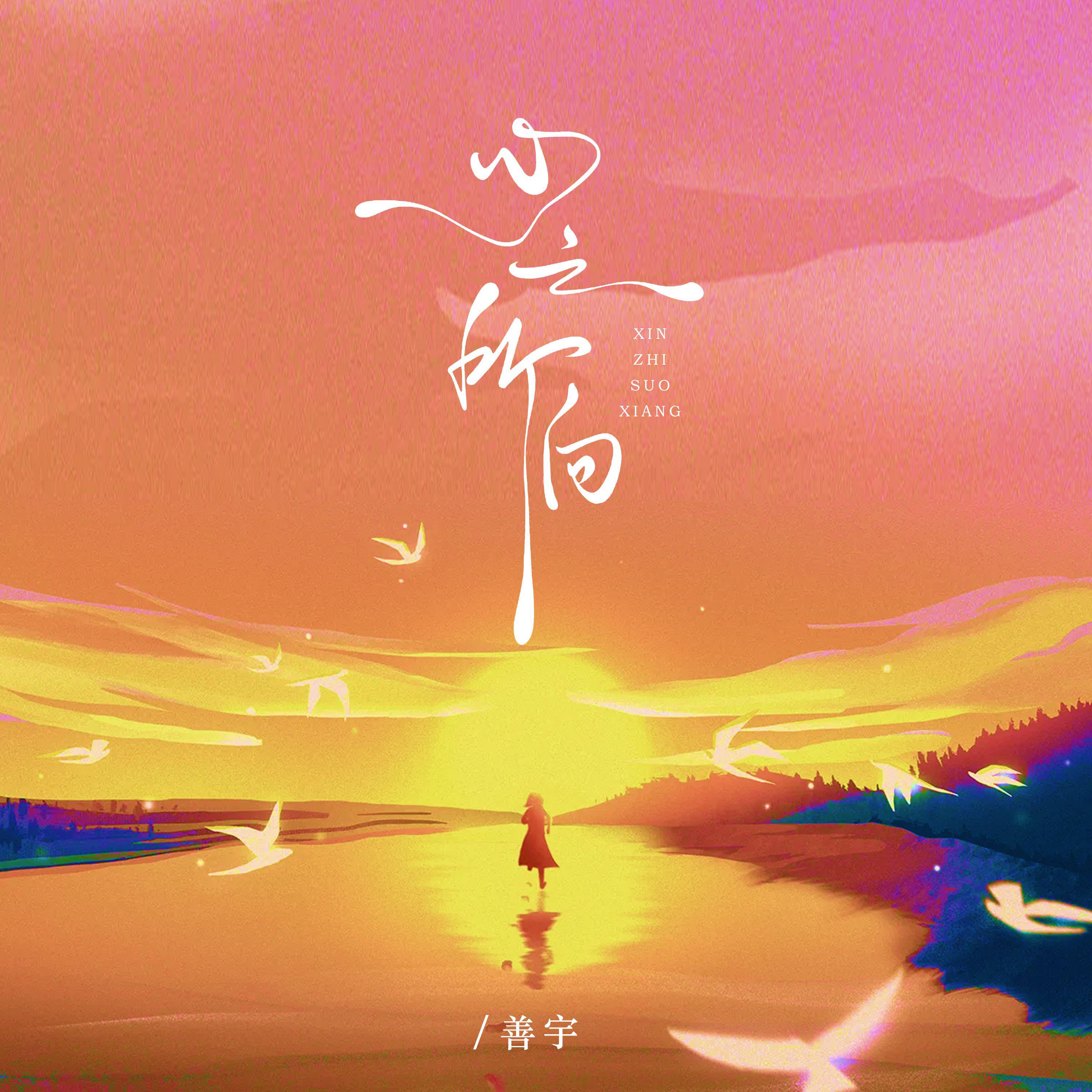 心之所向专辑
