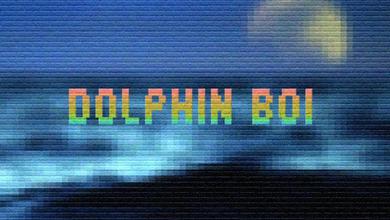 Dolphin Boi