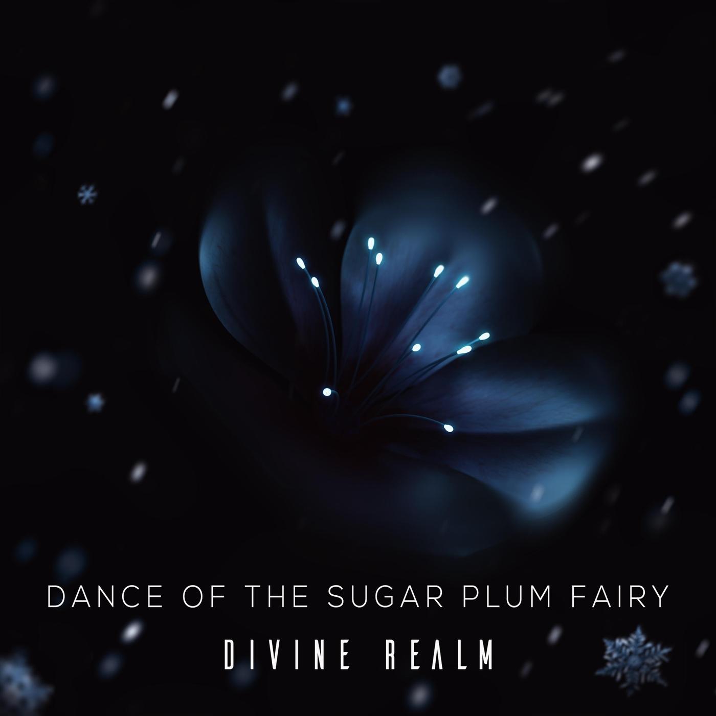 Dance of the Sugar Plum Fairy