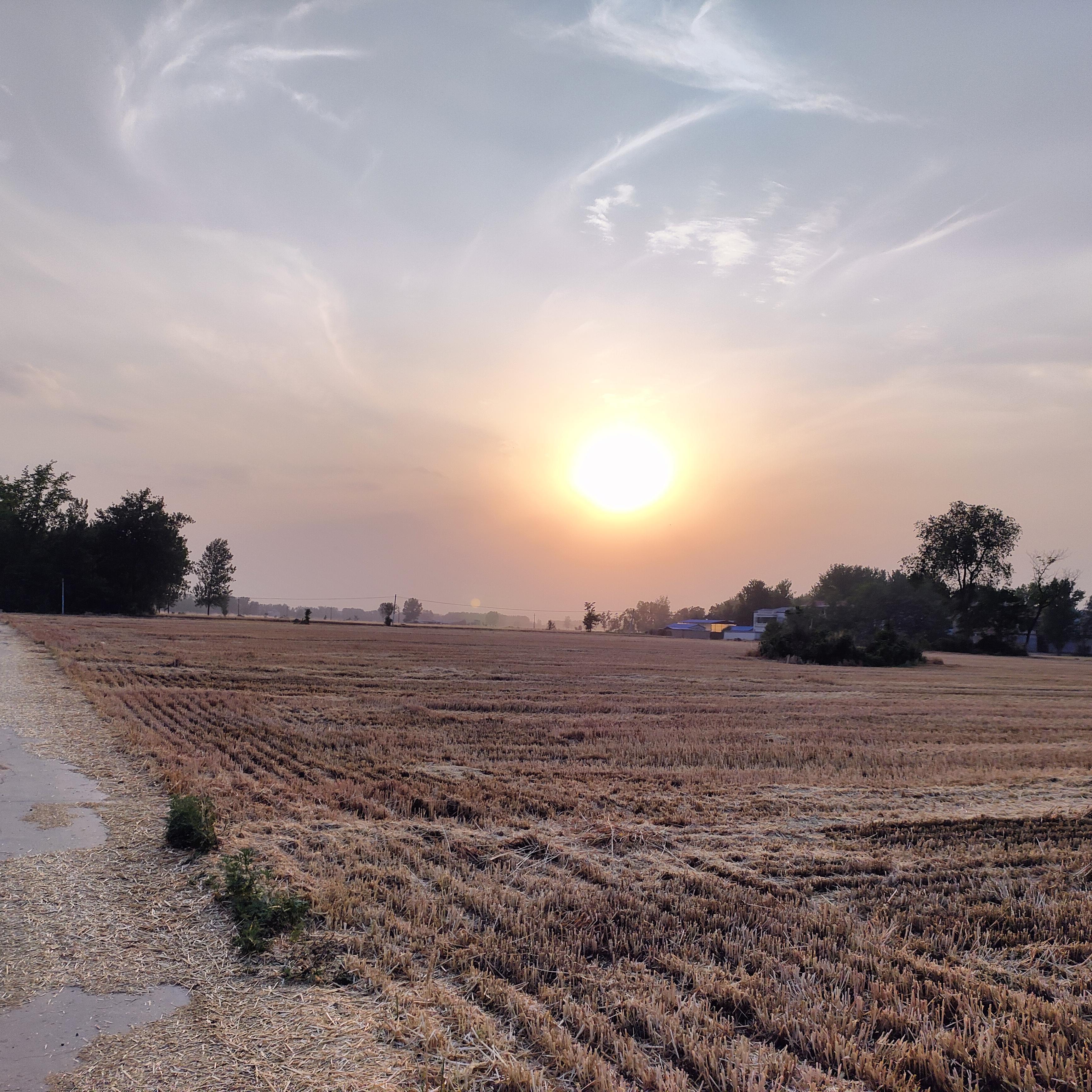 捞起月亮的渔夫