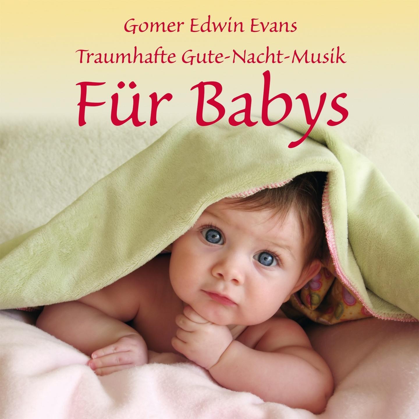 Für Babys: Traumhafte Gute-Nacht-Musik专辑
