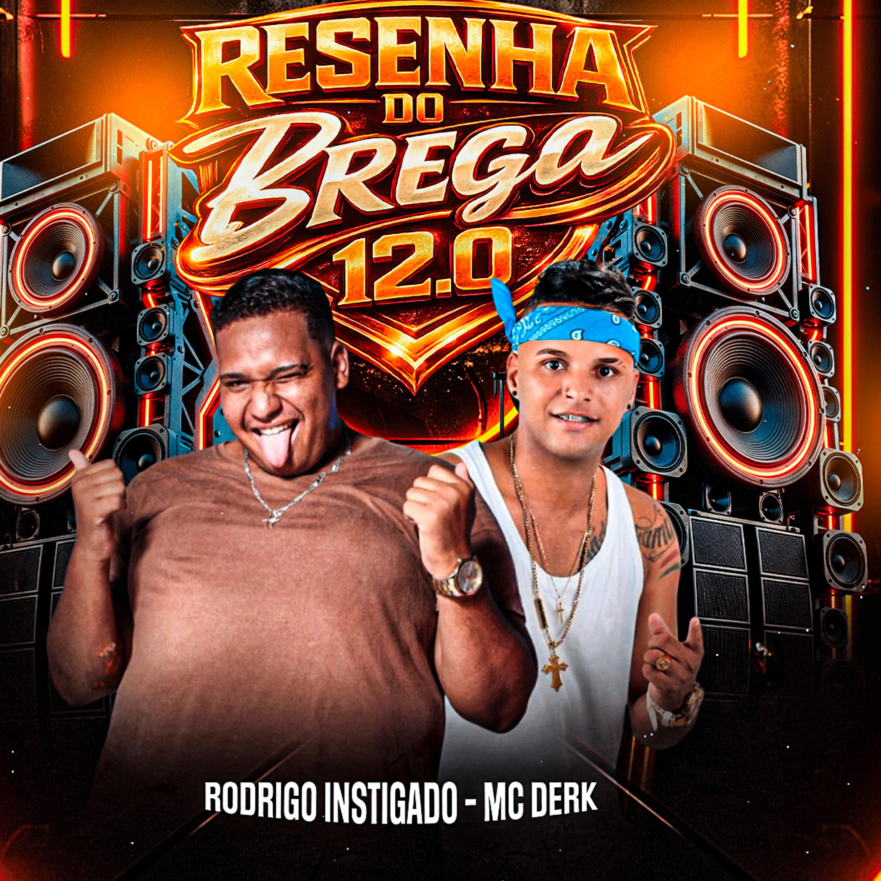 Resenha do Brega 12.0