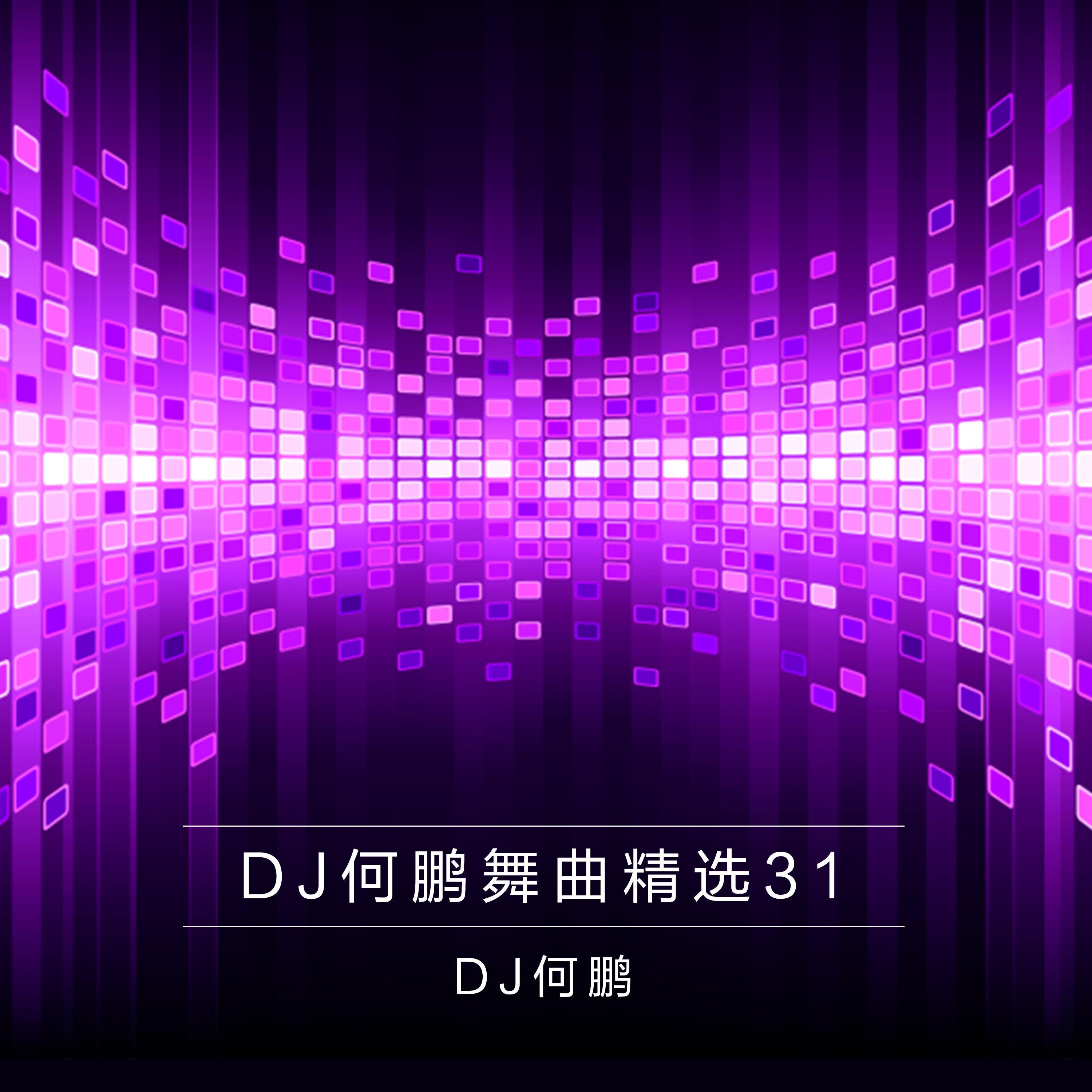 DJ何鹏舞曲精选集31专辑