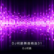 哥哥不做负心郎 (DJ Version)