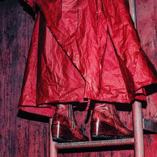 【 感情迷了路 来根黄果树 】