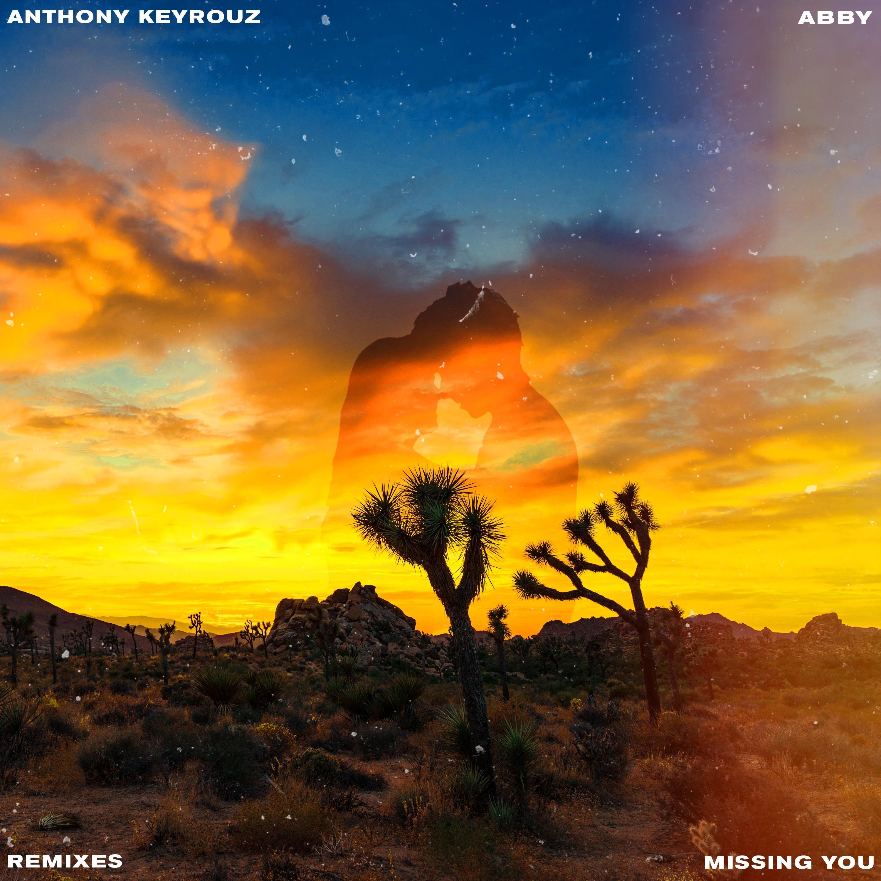 Missing You (Ilan Videns Remix)