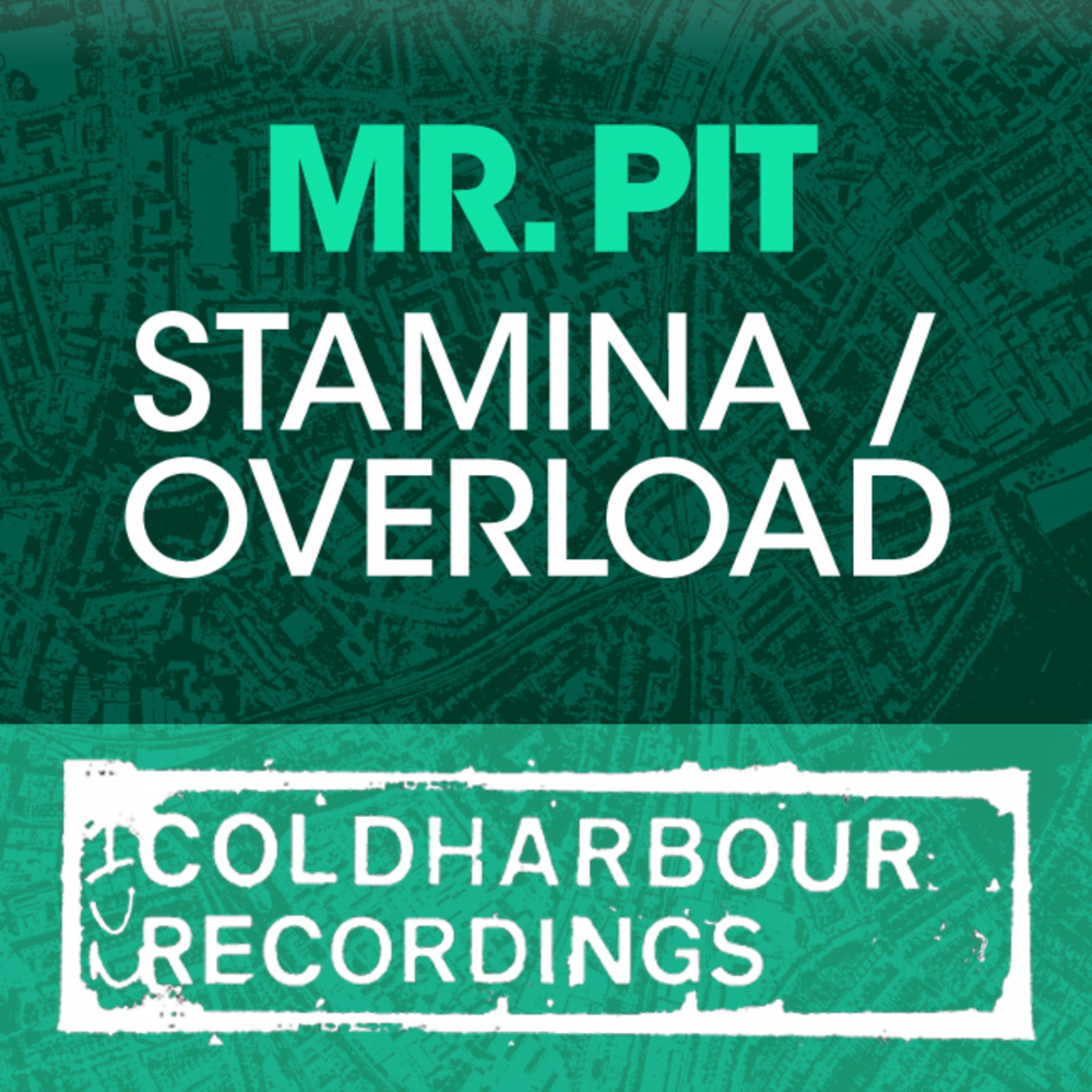 Mr. Pit - Stamina (Original Mix)
