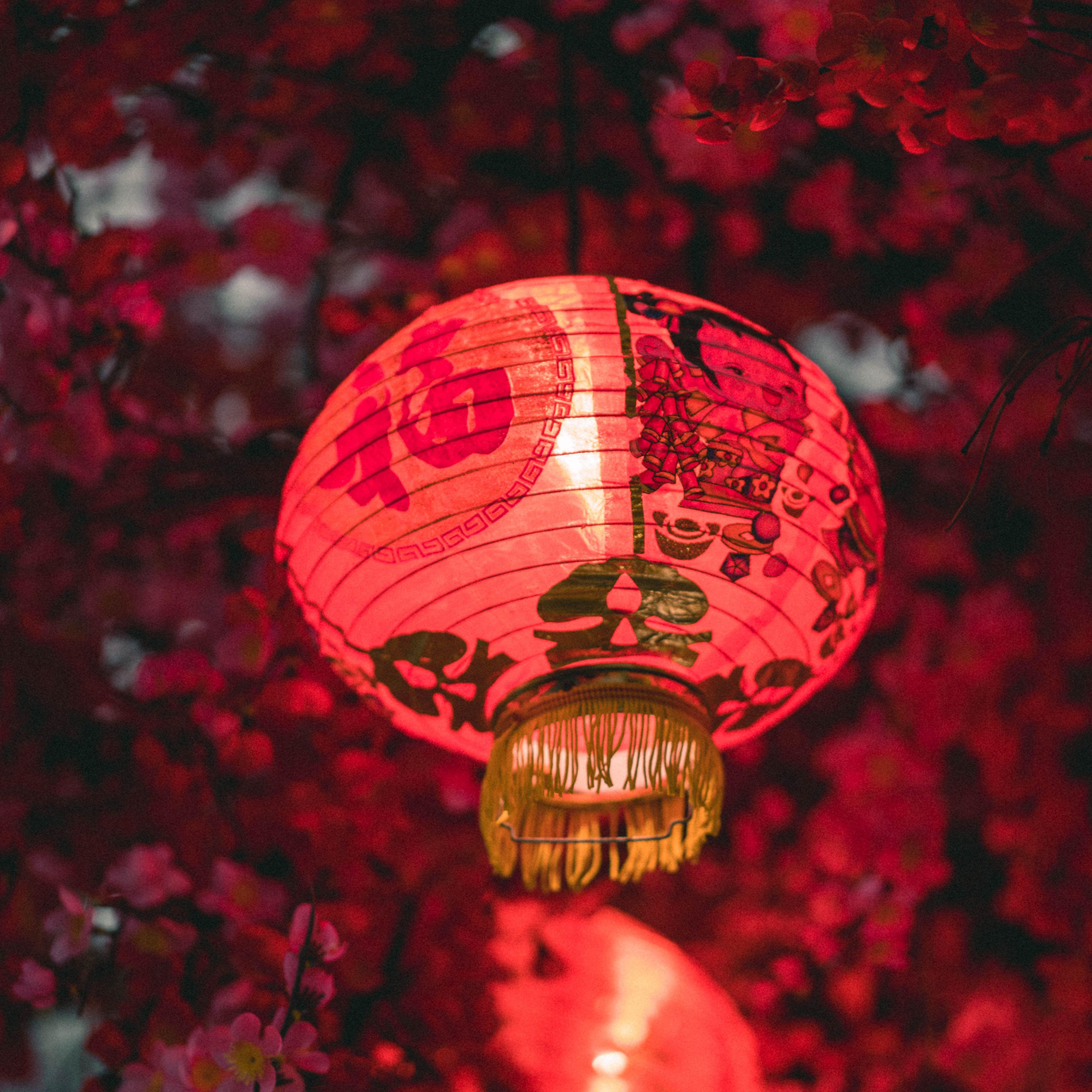 古风 故地重游