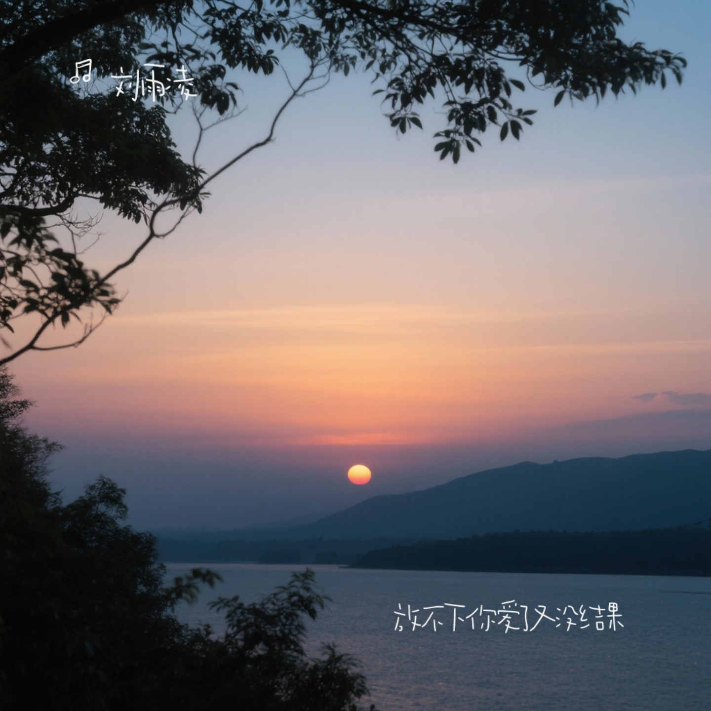 放不下你爱了又没结果