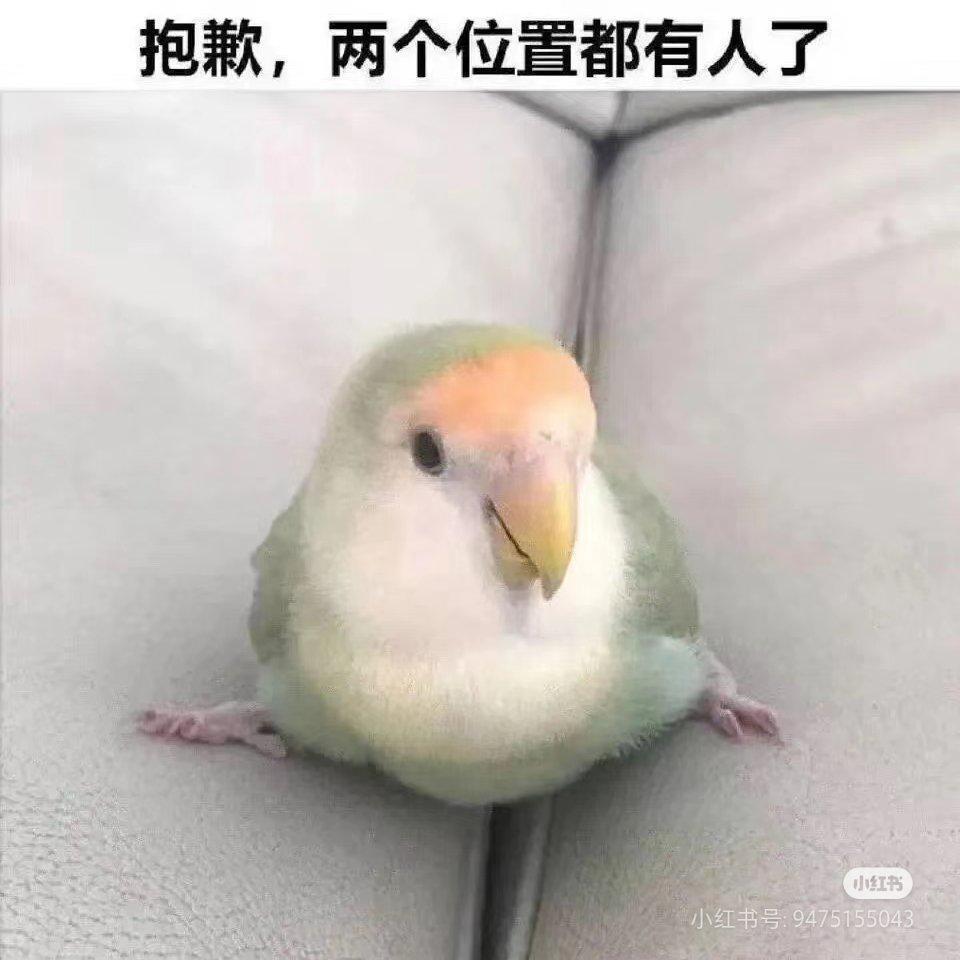 falling for u「meme」 - 你是来找meme的吧!!!!(含梗图) - 电台节目 - 网易云音乐
