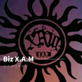 Biz X.A.M