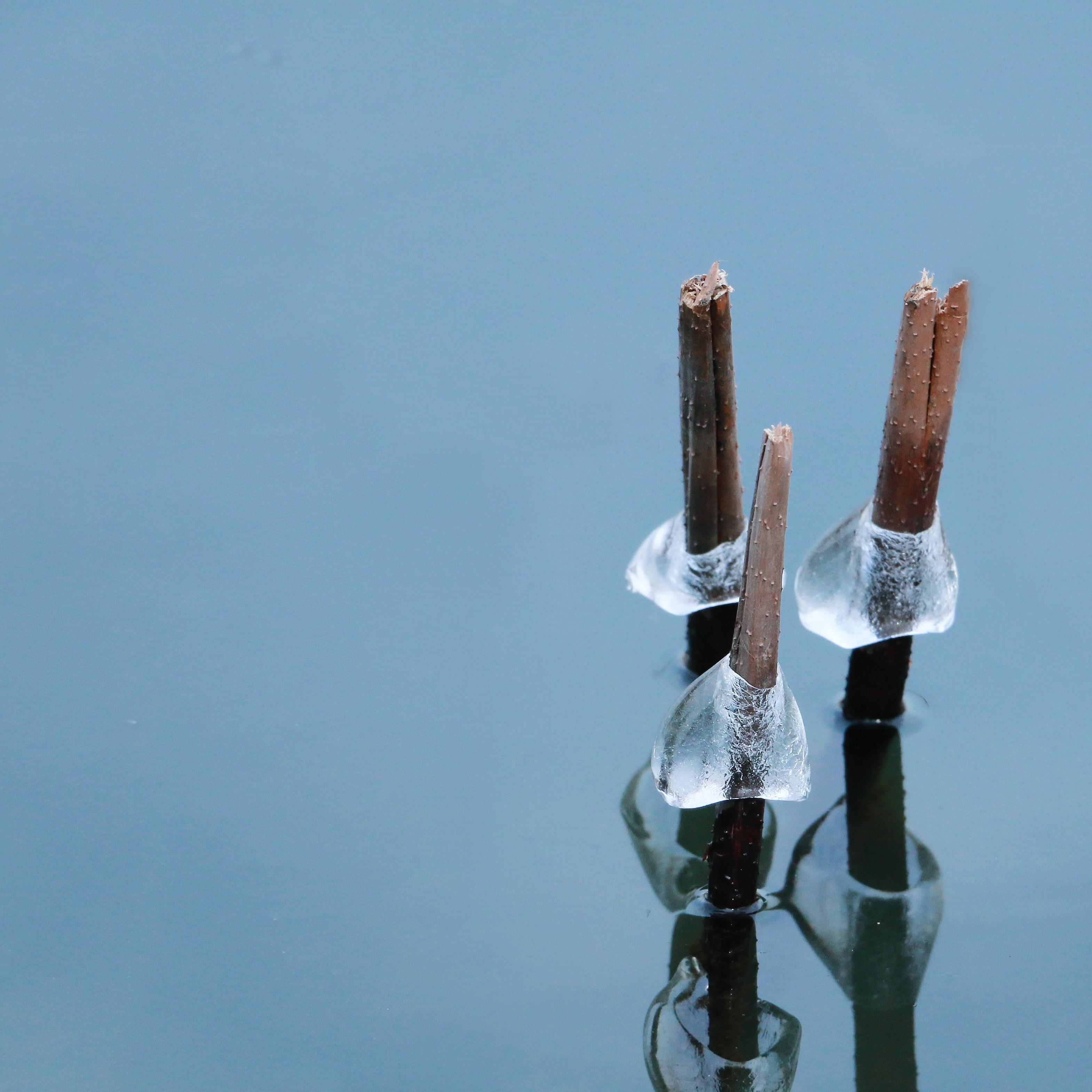 往后余生（女版）