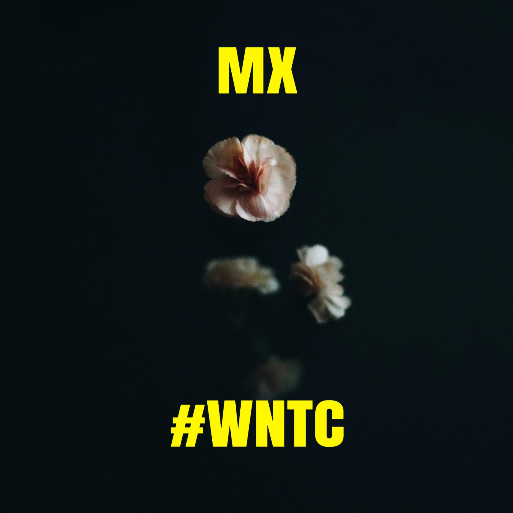 #WNTC