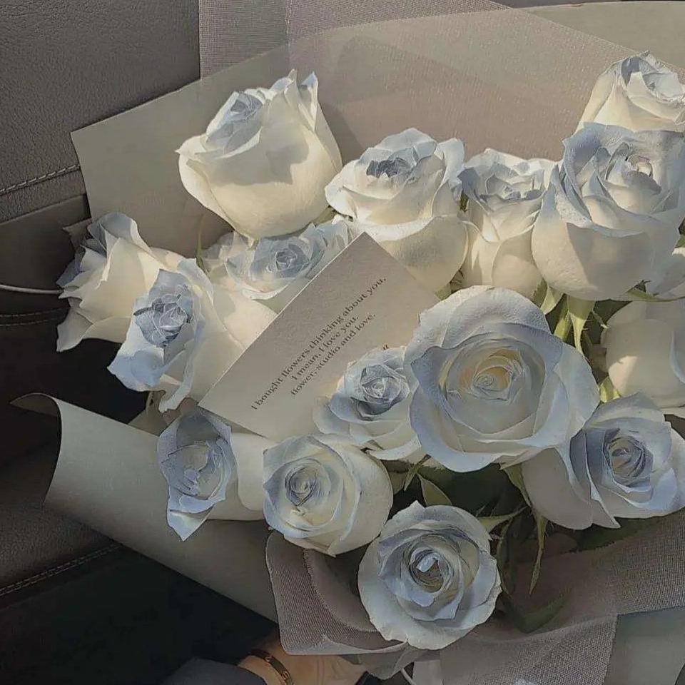 Faded Light(降调0.8X)