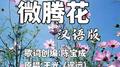 微腾花 (汉语版)专辑
