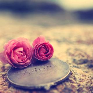 柔情的歌~柔情的rapper~~