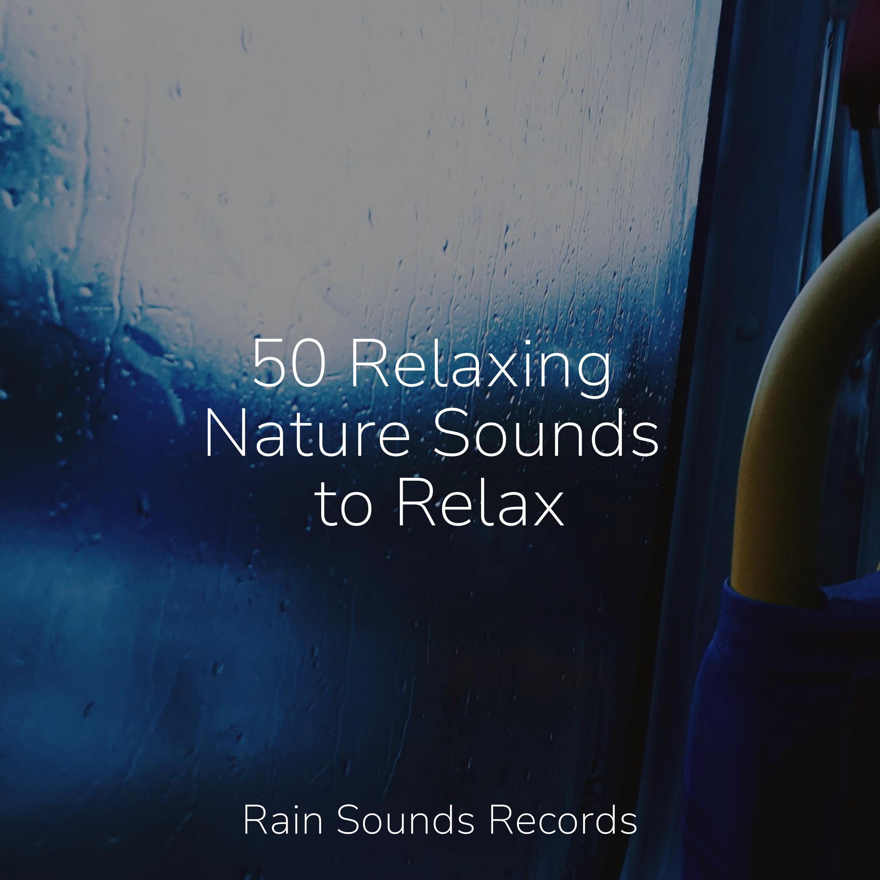 Sounds of Nature Relaxation - Urban Flow Fusion