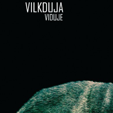 Viduje