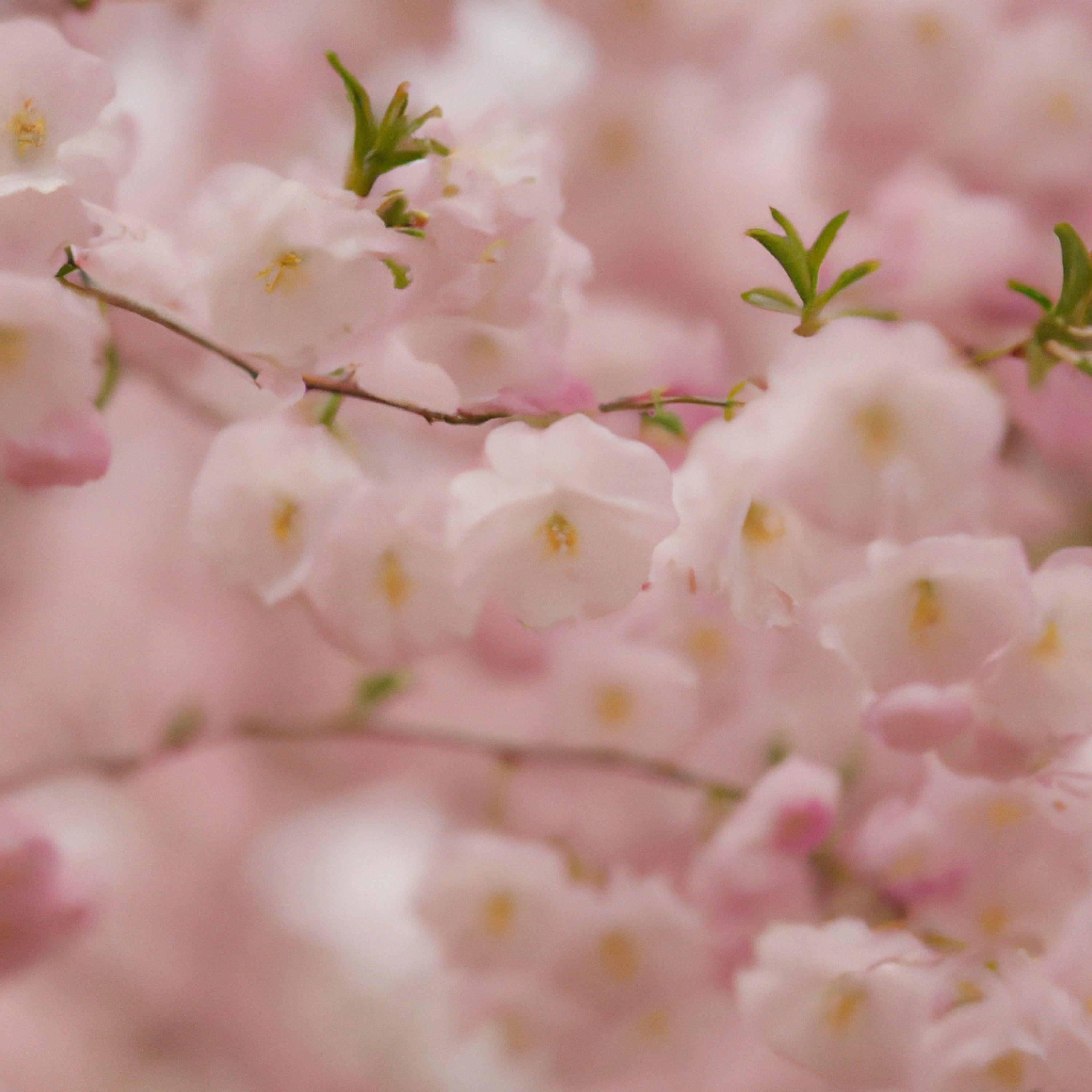 - No Broke Boys (Kastra Naughty Edit)