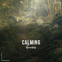 #15 Calming Sounds to Clear your Mind专辑