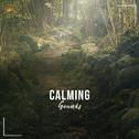 #15 Calming Sounds to Clear your Mind专辑