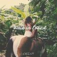 Walk in Forest