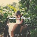 Walk in Forest专辑