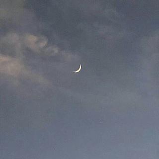 //特製青椒肉絲//