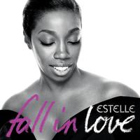 Fall in Love - Estelle & Nas (unofficial Instrumental) 无和声伴奏