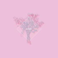 藤井フミヤ - Another Orion (unofficial Instrumental) 无和声伴奏