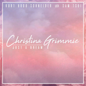 Sam Tsui、Christina Grimmie - just a dream