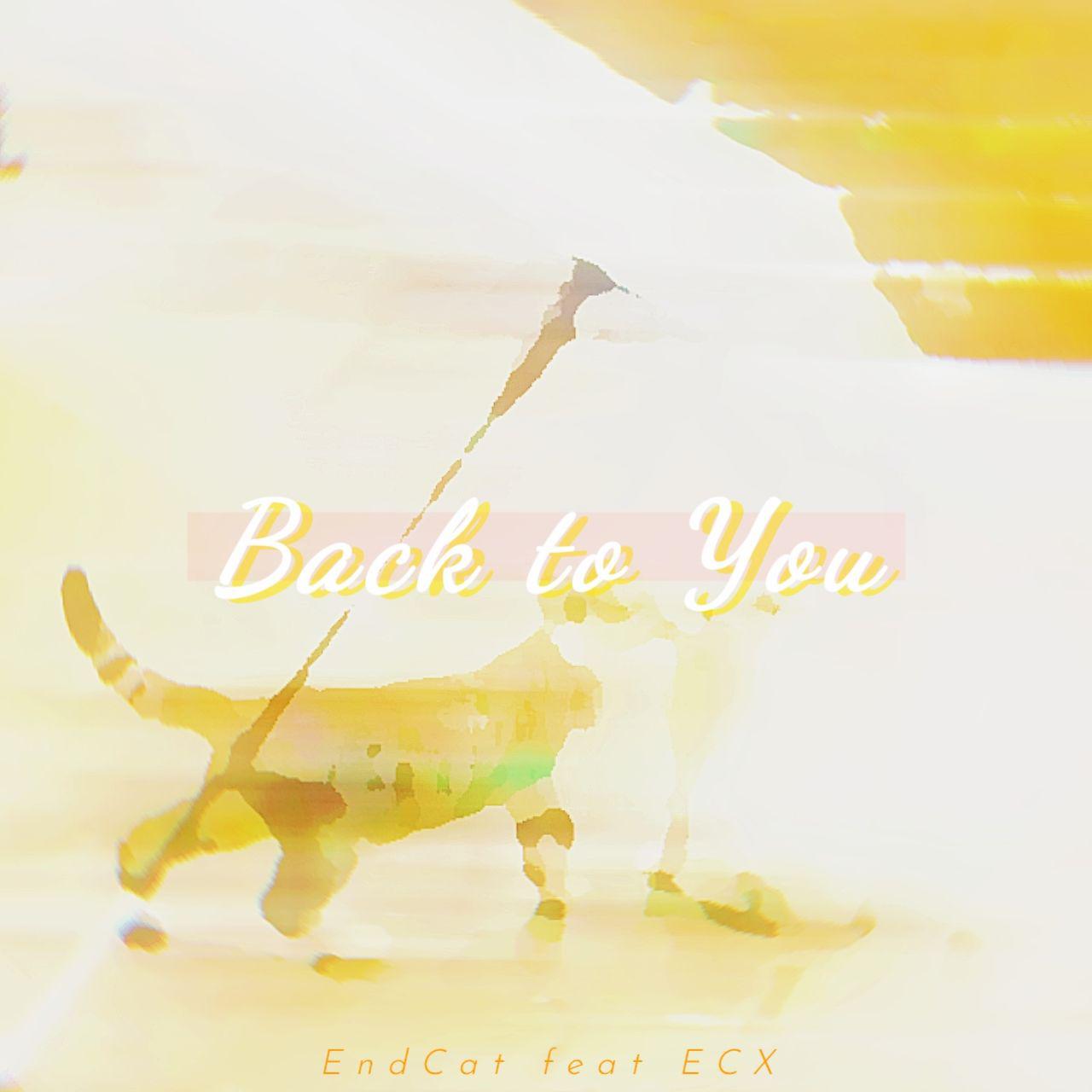 Back to You