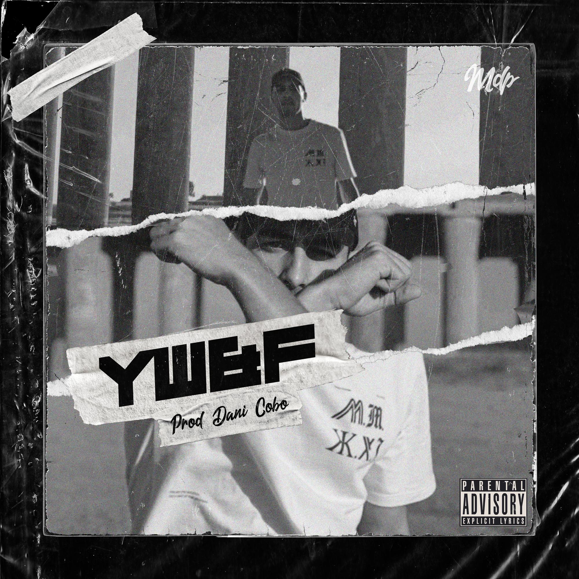 Young Wild & Flex